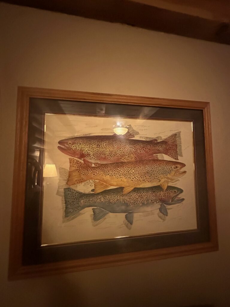 Modern kitchen inside a rustic cabin in Dutch John, Utah, equipped for family-friendly stays.