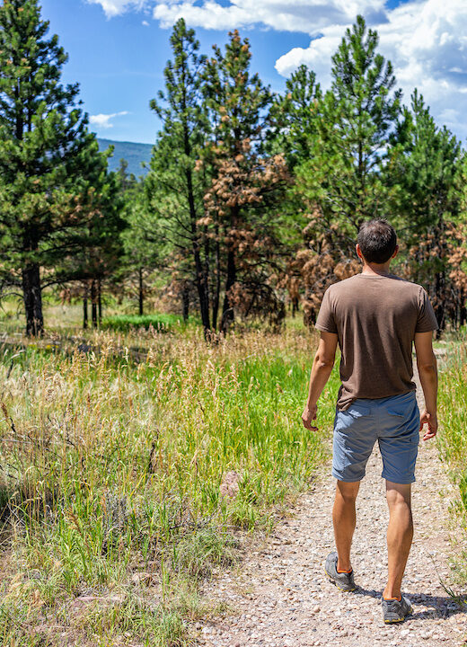 Introduction to Hiking in Dutch John: A Quick Quide to Easy, Intermediate, and Advanced Trails