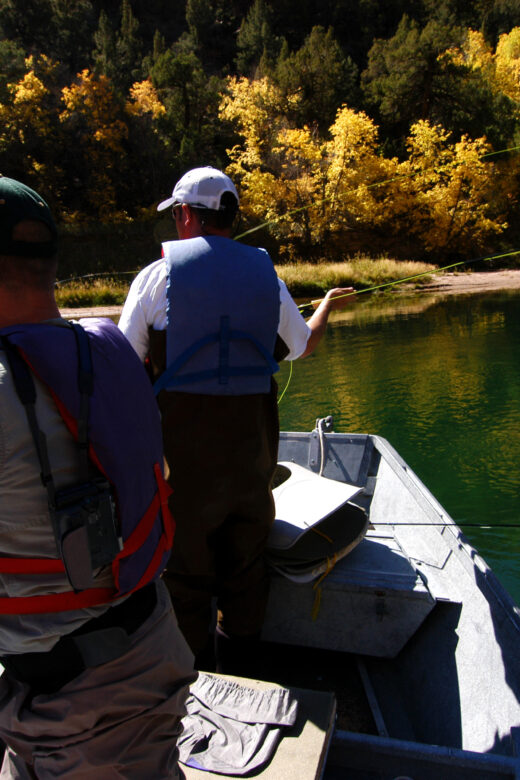 fly fishing in the green river