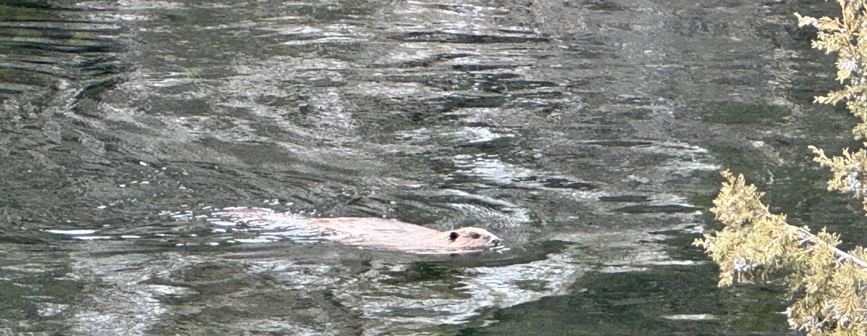 Green River Section A Hike